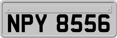 NPY8556