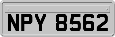 NPY8562