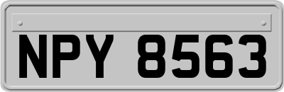 NPY8563