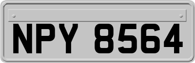NPY8564