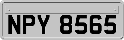 NPY8565