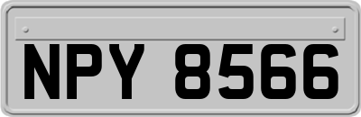 NPY8566