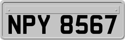 NPY8567