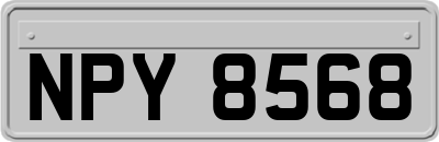 NPY8568
