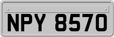 NPY8570