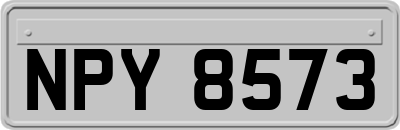 NPY8573