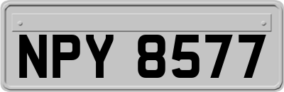 NPY8577