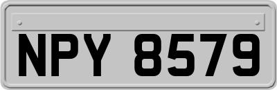 NPY8579