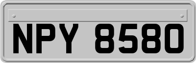NPY8580
