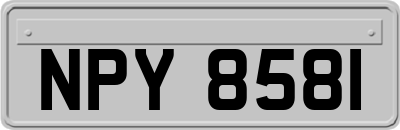 NPY8581