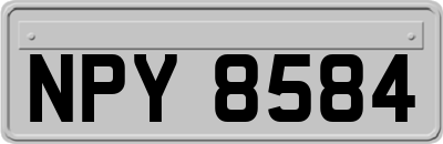 NPY8584