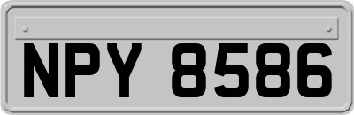 NPY8586