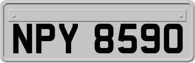 NPY8590