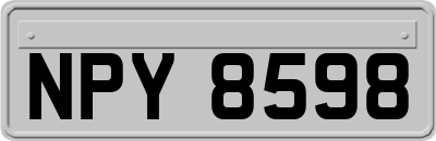 NPY8598