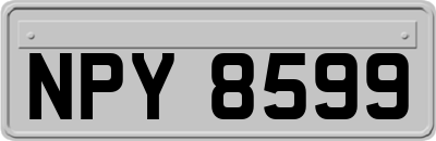 NPY8599