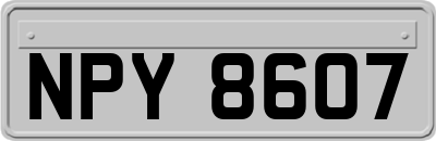 NPY8607