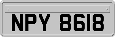 NPY8618