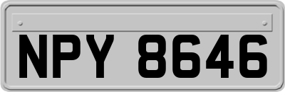 NPY8646