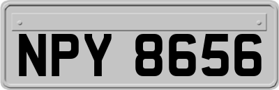 NPY8656