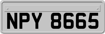 NPY8665