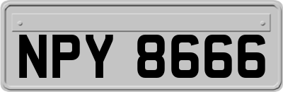 NPY8666