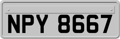 NPY8667