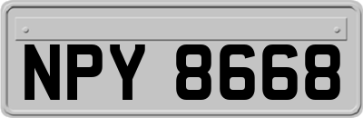 NPY8668