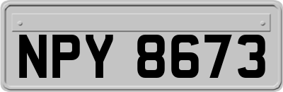 NPY8673