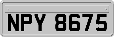 NPY8675