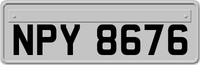 NPY8676