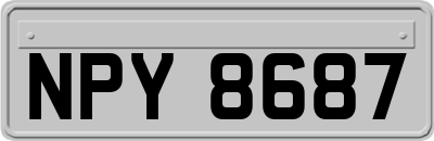 NPY8687