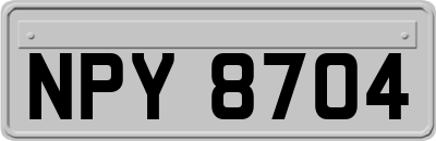 NPY8704