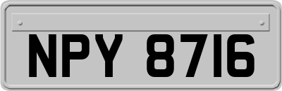 NPY8716