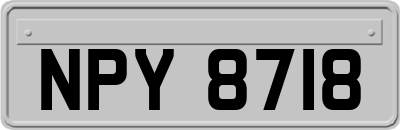 NPY8718