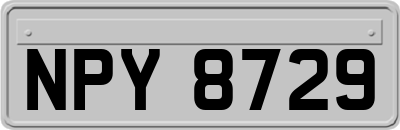 NPY8729