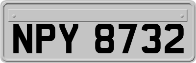 NPY8732