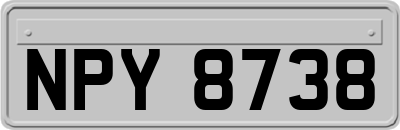 NPY8738