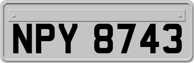 NPY8743