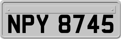NPY8745