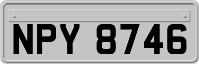 NPY8746