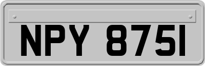 NPY8751