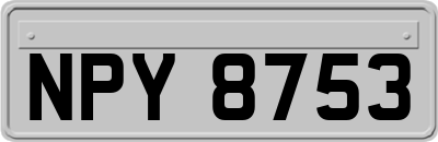 NPY8753