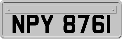 NPY8761