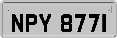 NPY8771