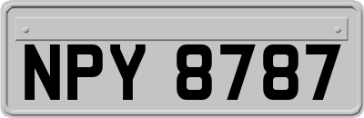 NPY8787