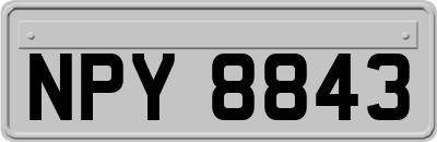 NPY8843