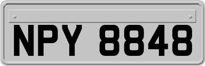 NPY8848