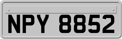 NPY8852