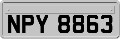 NPY8863
