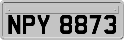 NPY8873